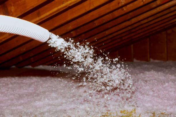 Best Energy Efficiency Insulation in Martinsvle, IL