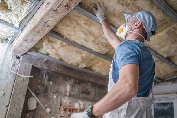 Best Residential Insulation in Martinsvle, IL