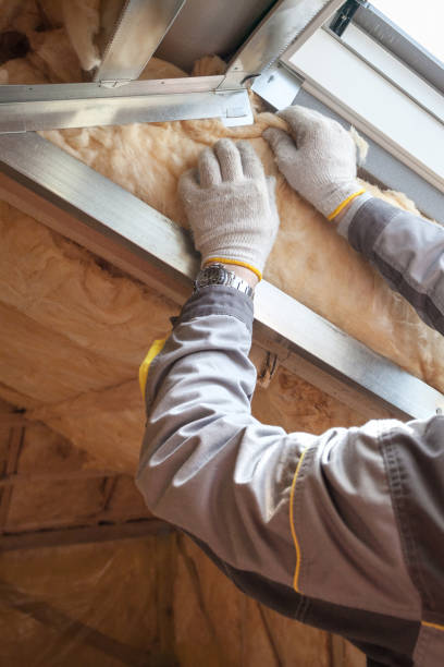 Best DIY Insulation Kits and Guidance in Martinsvle, IL