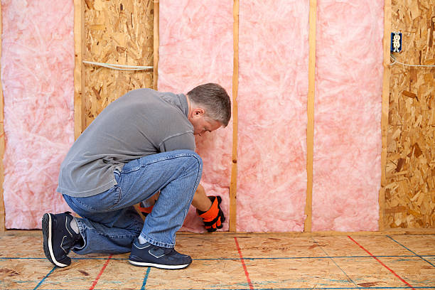 Best Fiberglass Insulation in Martinsvle, IL