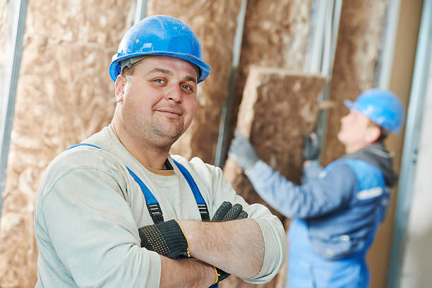 Best Geographic-Specific Insulation Services in Martinsvle, IL