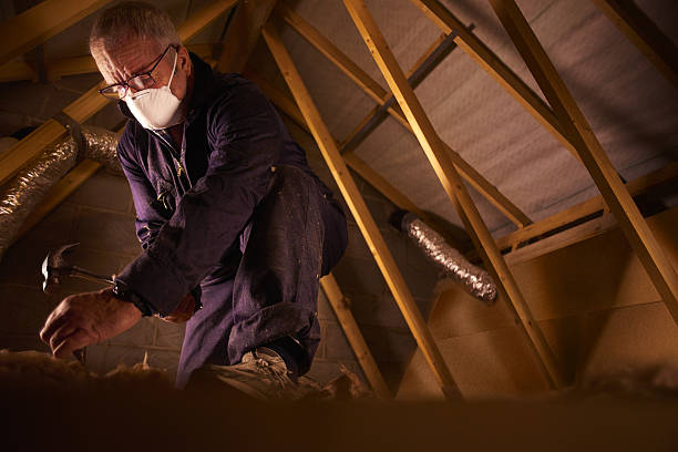 Professional Insulation Contractor in Martinsville, IL