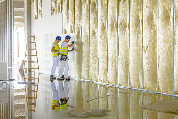 Best Eco-Friendly Insulation in Martinsvle, IL